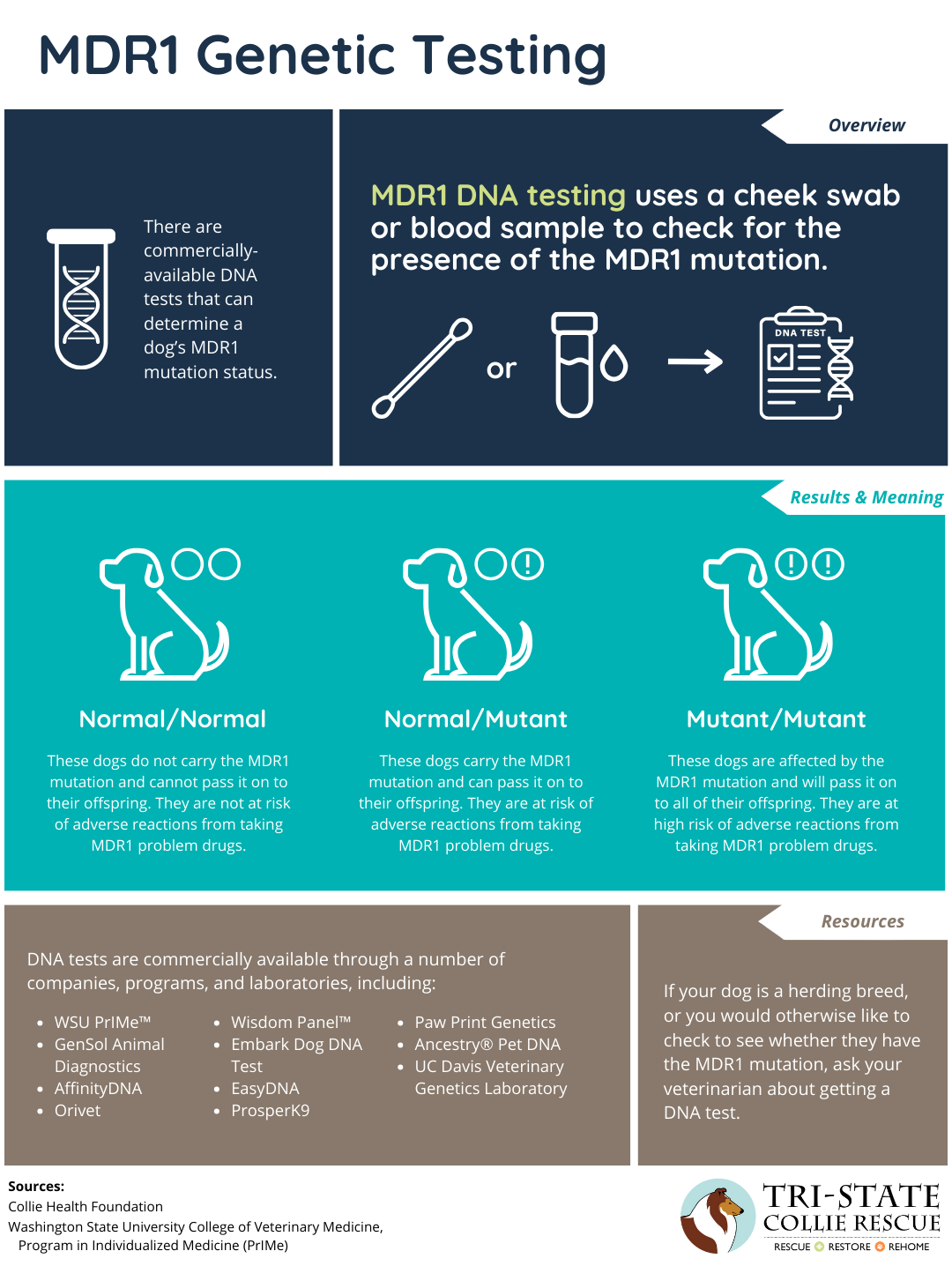 MDR1 Genetic Testing Infographic FINAL