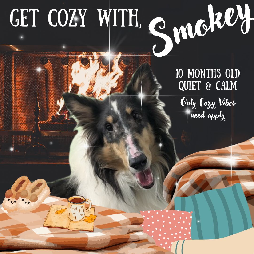 Smokey Cozy Time Instagram Post (1)