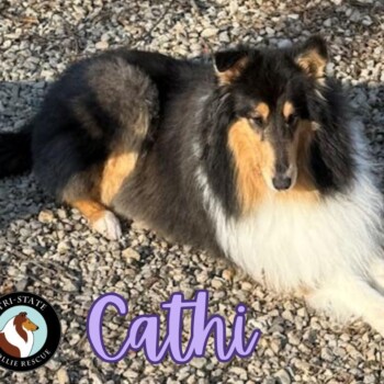 Cathi 2025 for Website (1)