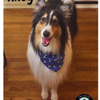 Riley2025forWeb
