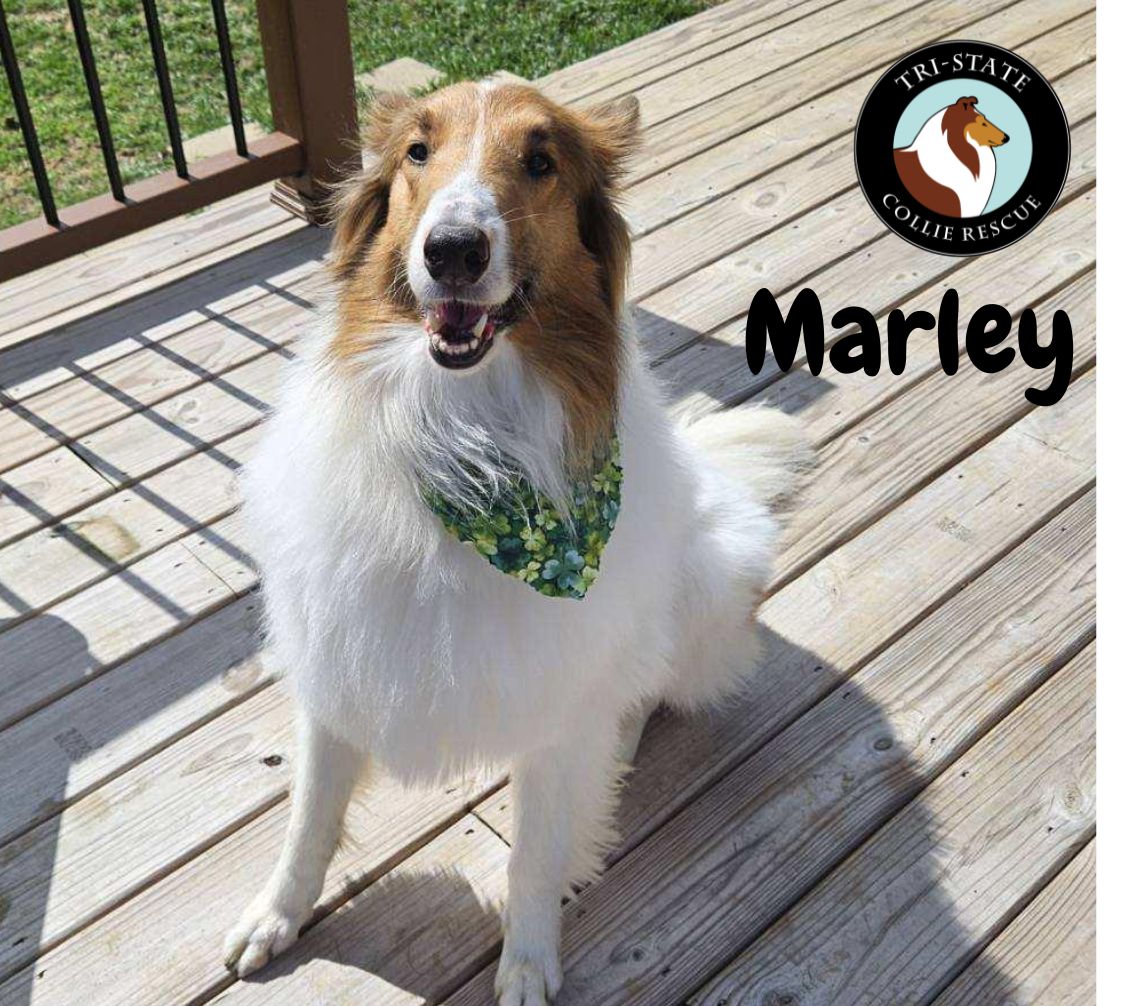 Marley
