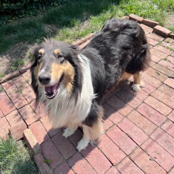 Gretchen