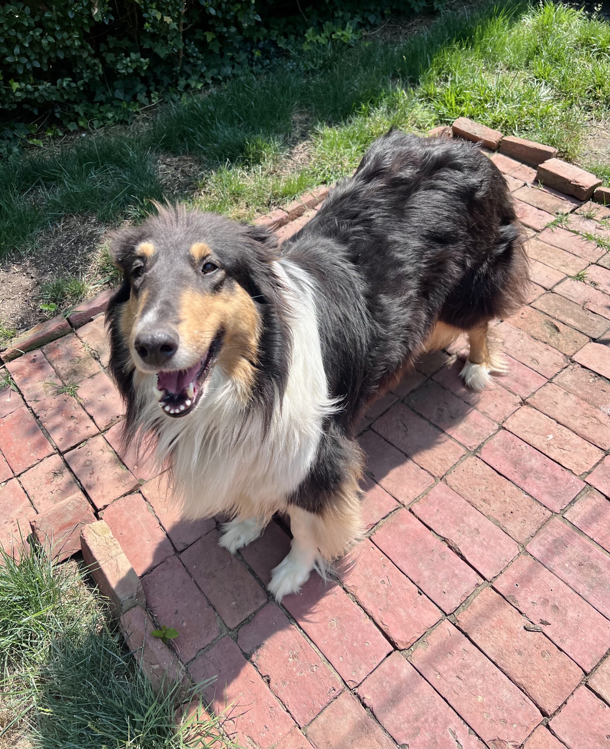 Gretchen