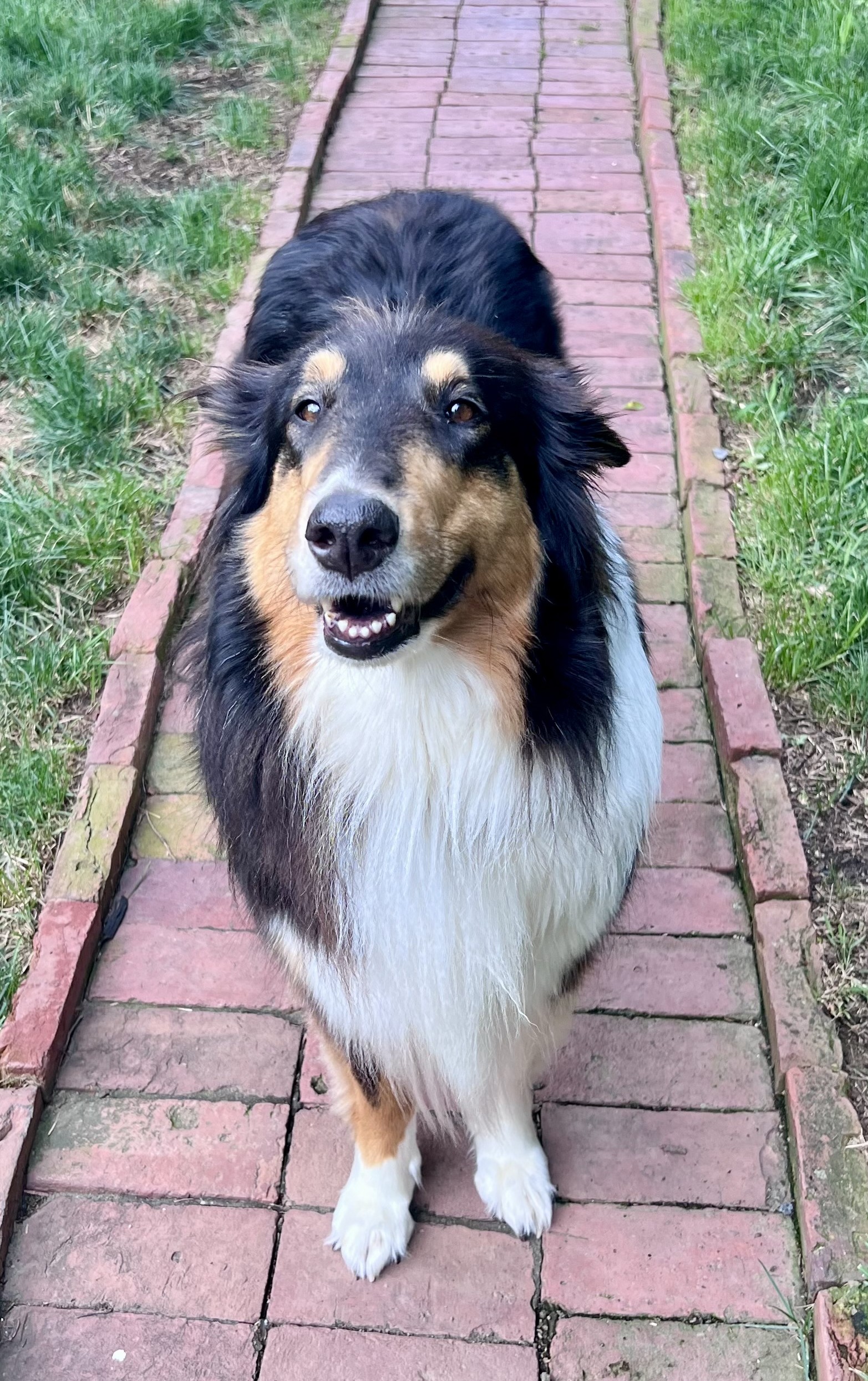 Gretchen