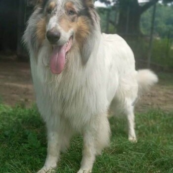 Stormie