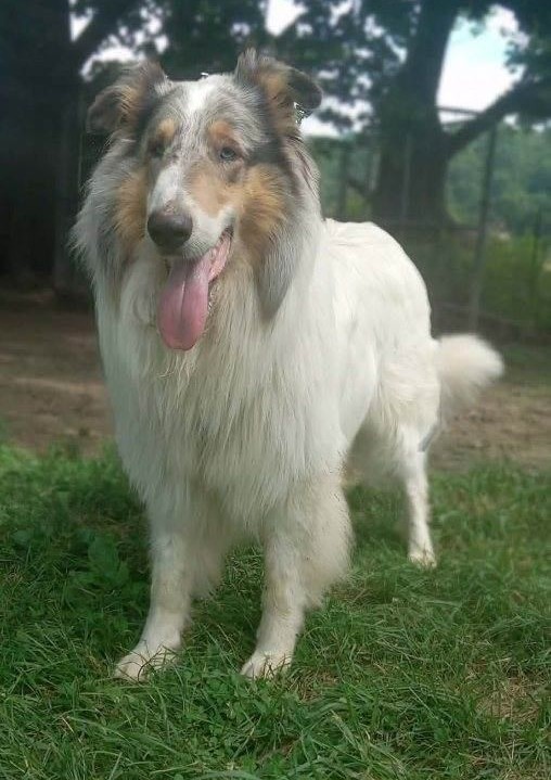 Stormie