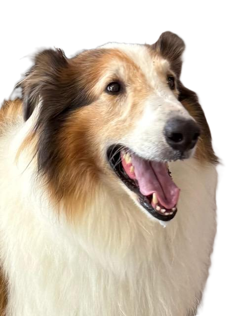 Max4